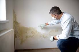 Best Mold Remediation for Rental Properties  in Ladera, CA